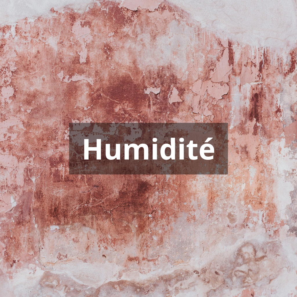 Nos prestations humidité - Bouches du Rhône